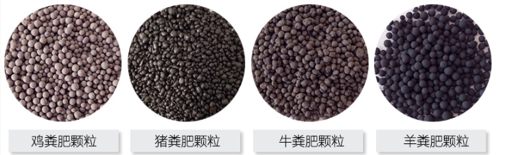 动物粪便颗粒.png